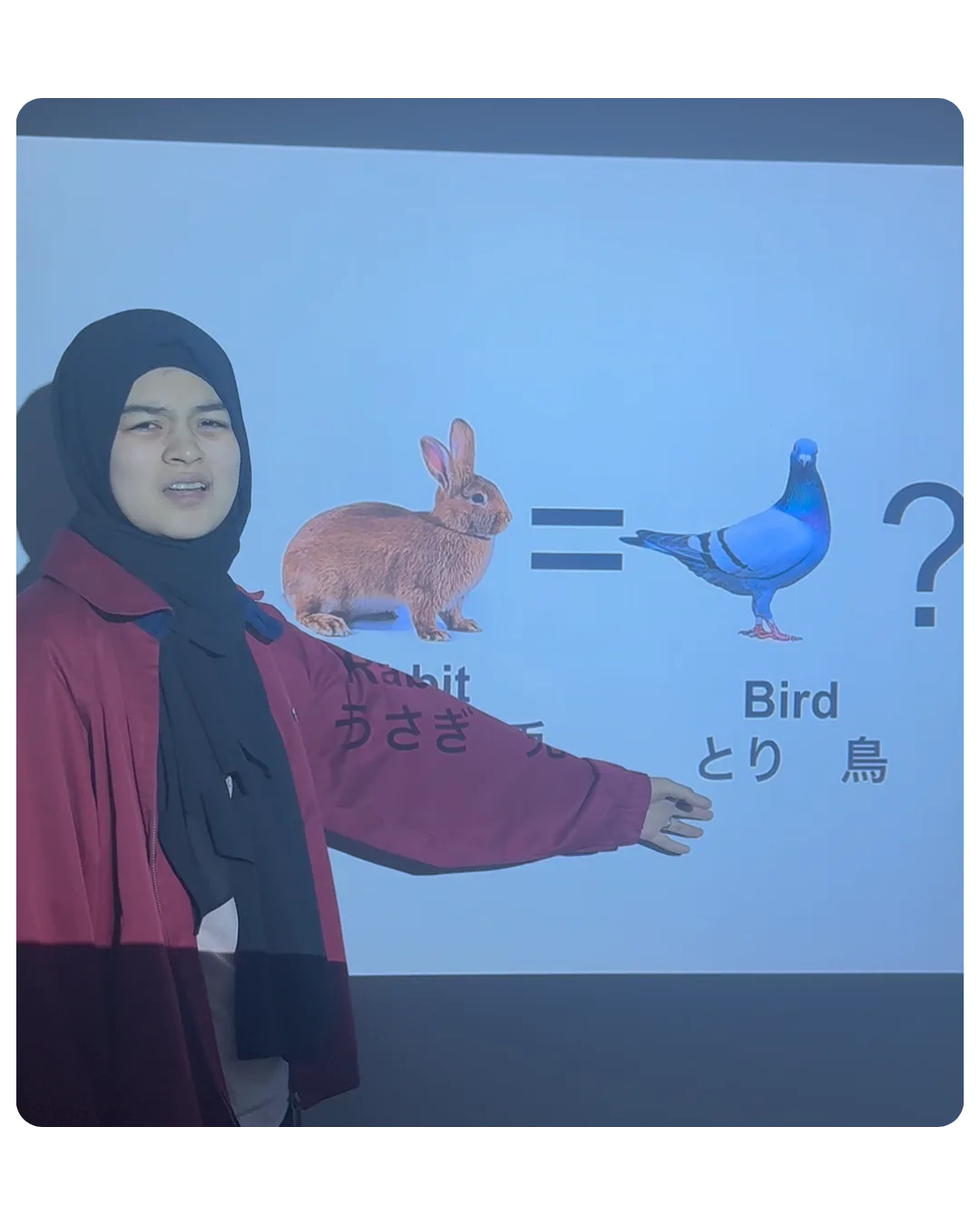 Zubiya sensei teaching a kanji lesson with rabbit and bird slides